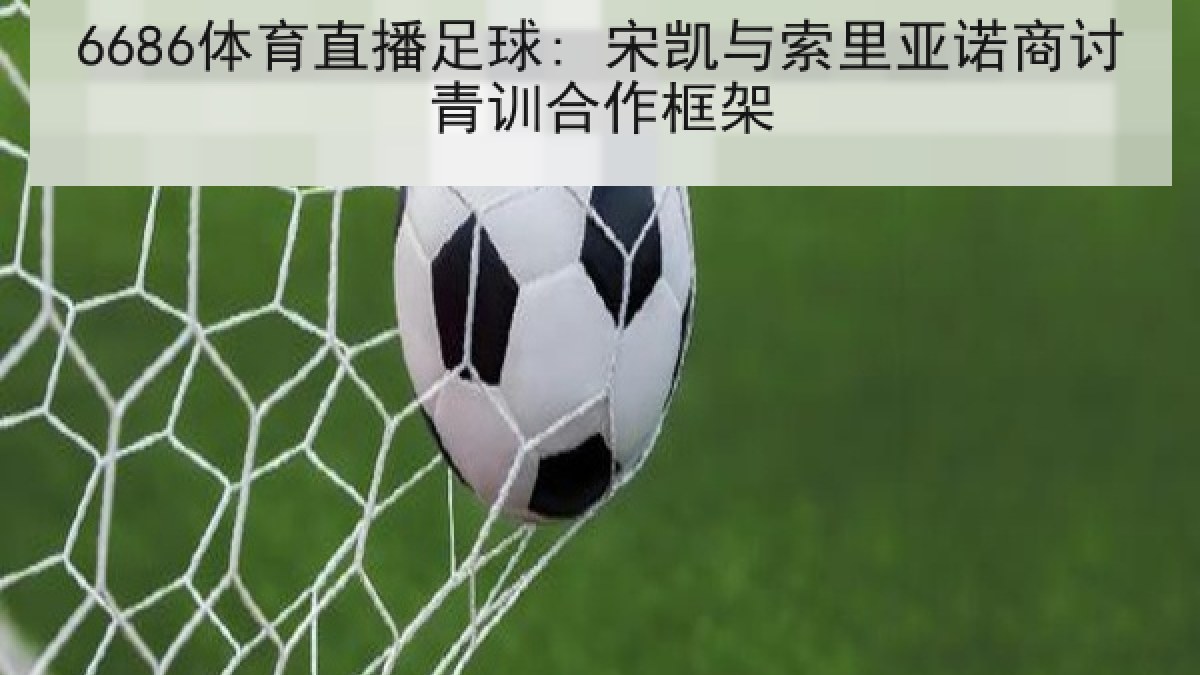 6686体育直播足球: 宋凯与索里亚诺商讨青训合作框架