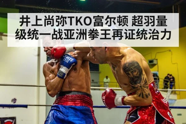 boxer knockout punch